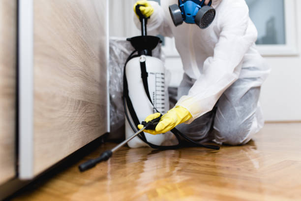 Best Bed Bug Extermination  in Due West, SC
