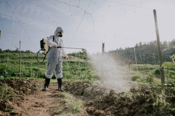 Best Ant Control Services  in Due West, SC