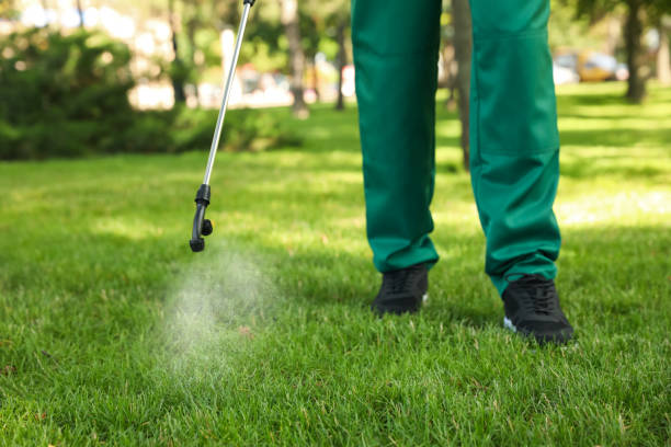 Best Pest Control for Businesses  in Due West, SC