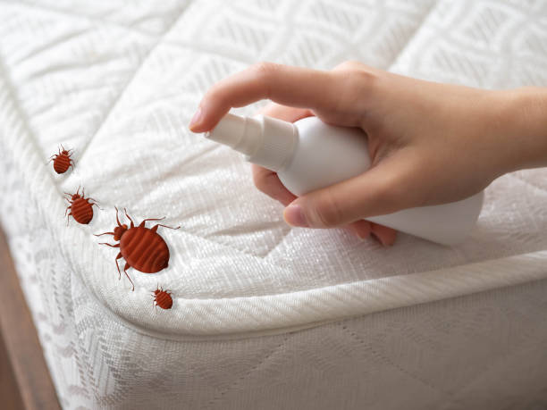 Reliable Due West, SC Pest Control Solutions